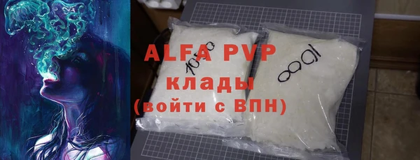 ECSTASY Алзамай