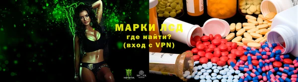ECSTASY Алзамай