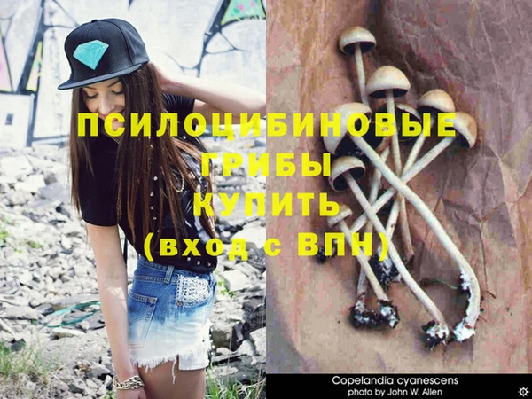 кристаллы Алексеевка