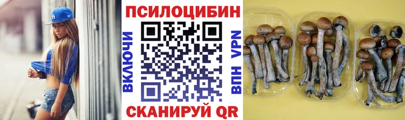 Галлюциногенные грибы ЛСД  Боготол 